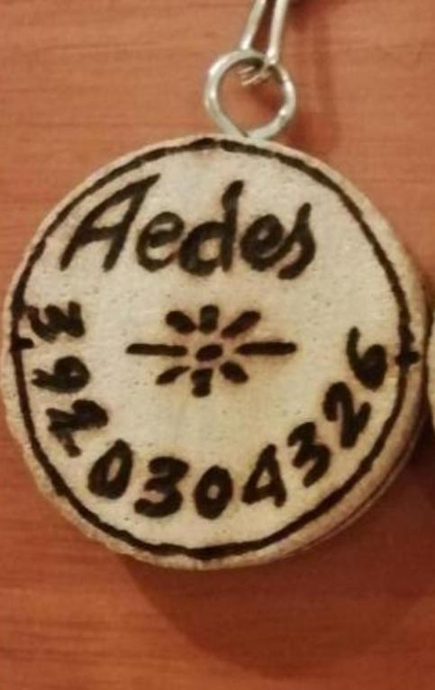 Gruppo Aedes Alghero, Residenza Michelangelo - 500 Mt Dalla Spiaggia Eksteriør bilde